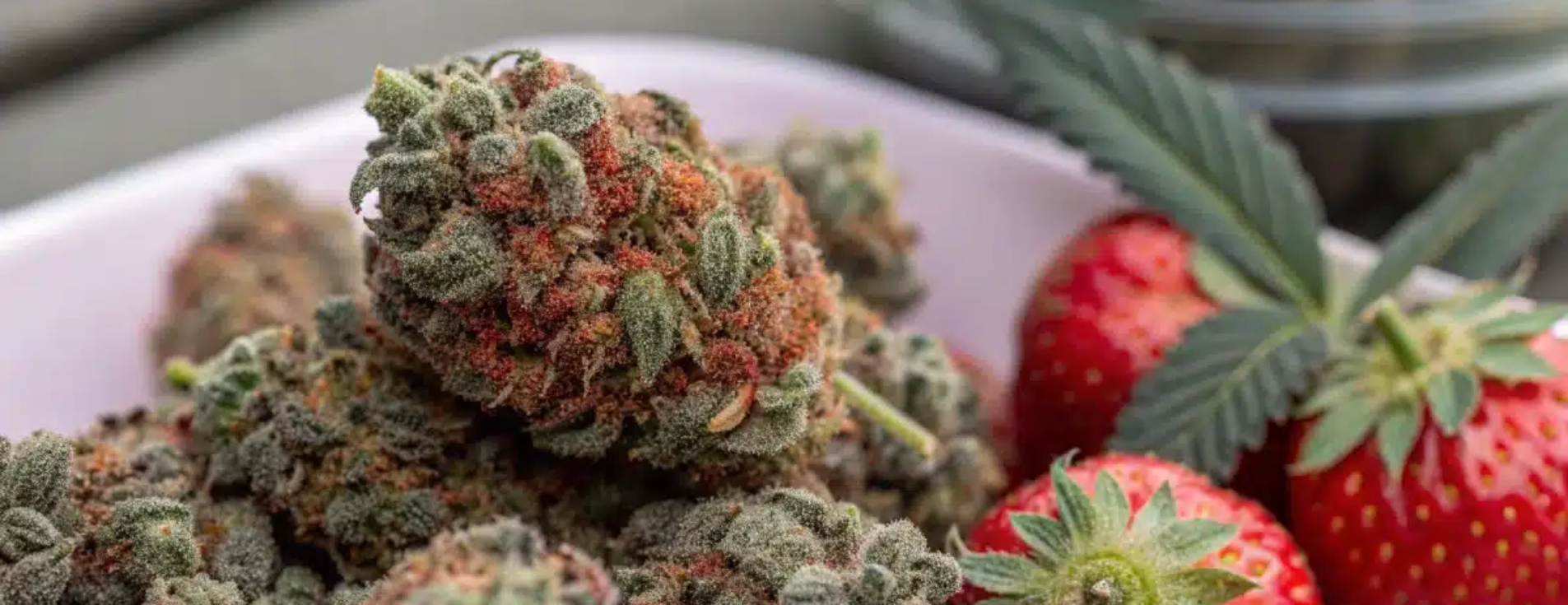 Happy 420